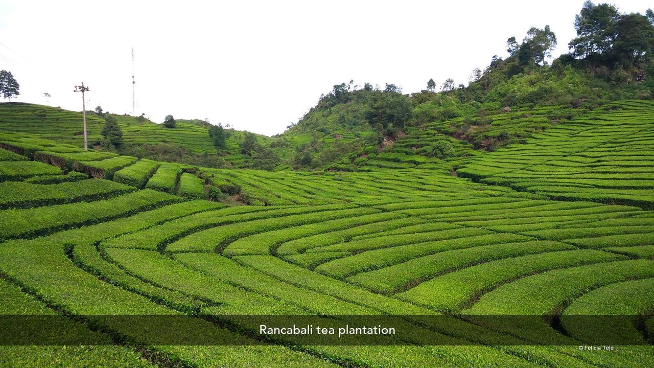 Zen Premium Near Rumah Mode Bandung Buitenkant foto